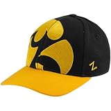 Zephyr Iowa Hawkeyes Black-Gold Masquerade Fitted Hat (7 3/4)