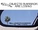 (2) Mirror Decals 
