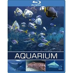 Exotisches Salzwasser Aquarium [Blu-ray]