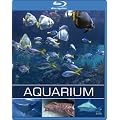 Exotisches Salzwasser Aquarium [Blu-ray]