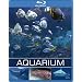 Exotisches Salzwasser Aquarium [Blu-ray]