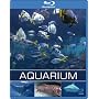 Exotisches Salzwasser Aquarium [Blu-ray]