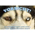 Metall-Warnschild Siberian, Sibirian Husky