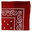 Paisley Cotton Bandanas - 15 Colors to Choose From