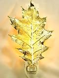 Real Oak Leaf in 24K Gold Night Light The Rose Lady