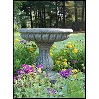 Ladybug 85066M Fluted Bird Bath - Moss