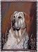 Yellow Labrador Retriever Dog Deluxe Full-Size Tapestry Blanket Throw
