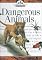 Dangerous Animals (Nature Company Discoveries Libraries)
