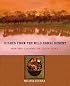 Dishes from the Wild Horse Desert: Norte?o Cooking of South Texas