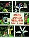 Making Animated Whirligigs (Woodworking Whirligigs)