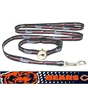 Chicago Bears Dog Collar, Leash, and ID Set (Medium 14 in. - 20 in.)