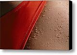 A Close View Of A Bikini Bottom On Wet Canvas Print / Canvas Art - Artist Raul Touzon