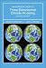 Introduction to Three-Dimensional Climate Modeling