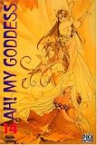 Ah ! My Goddess, tome 14