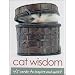 Cat Wisdom
