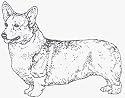 Dog Rubber Stamp - Welsh Corgi Pembroke - 2E