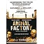 Animal Factory