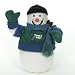 Tampa Bay Rays Fiber Optic Snowman