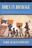 Born in Bondage: Growing Up Enslaved in the Antebellum South