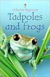 Tadpoles and Frogs (Beginners)