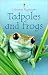 Tadpoles and Frogs (Beginners)