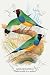 Art Poster, Gouldian Finch - 18.75 x 27.5