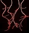Set of 216 Red Micro LED Designer Branch Icicle Christmas Light Curtain