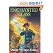Enchanted Glass