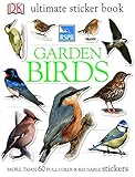 Garden birds