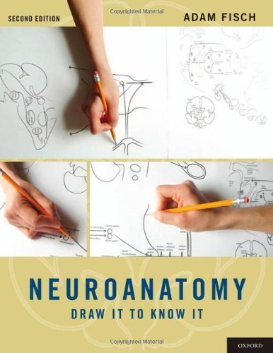 Neuroanatomy: Draw It to Know It 2nd (second) by Fisch, Adam (2012) Paperback