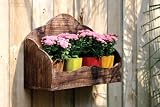 Natural Wooden Planter with Four Round Pots