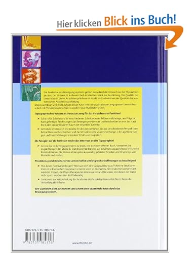 Topographie und funktion des