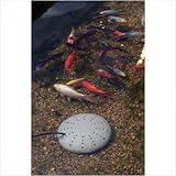 IMAGE OF K&H Perfect Climate Submersible Pond De-Icer