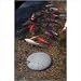 51EZtIWMzfL. SL75  Tips for Setting up a Tropical Fish Tank
