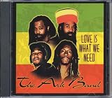 Love Is What We Need