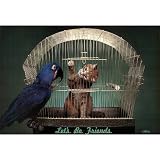 (22x32) Let's Be Friends (Cat and Parrot) Art Poster Print