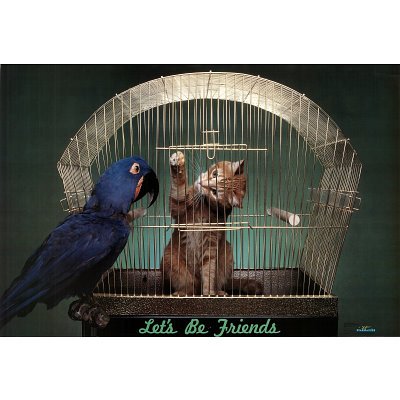 (22x32) Let's Be Friends (Cat and Parrot) Art Poster Print
