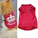 HP95 TM Fashion Pet Dog Cat Cute Princess T-Shirt Clothes Vest Summer Coat Puggy Costumes (L)