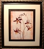 The Columbine by Thea Schrack 32-Inch-by-36-Inch Framed Print
