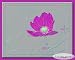 NATURE'S PHOTOGRAPHIC ARTISTRY BY DSW - Contemporary Asian Abstract Flower & Buds - Photography Print 8" x 10" blossoms garden plants art picture images #8