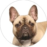 French Bulldog Fridge Magnet Stocking Filler, Ref:AD-FBD2FM