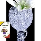 Crystal Soil Cosmo Bead(tm) Brand Premium Water Storing Accents Deco Gel Beads; Clear 10g Pack