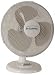 Kitchen & Housewares : In-Cuisine WDF12 12? Oscillating Desk Fan (White)