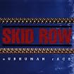 Subhuman Race
