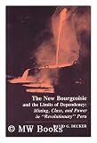 The new bourgeoisie and the limits of dependency : mining, class, and power in 'revolutionary' Peru