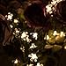 Ehome Solar String Light, 50LED 23FT Outdoor Waterproof Flower Light with Light Sensor for Garden Wedding Party Festival Decor (Warm white)