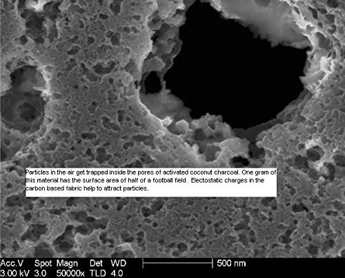 Carbonite Natural Odor Eliminating Bags Three Pack (Tan)