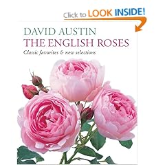 The English Roses: Classic Favorites and New Selections