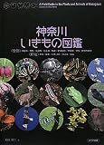 神奈川いきもの図鑑