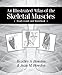 An Illustrated Atlas of the Skeletal Muscles: Study Guide and Workbook